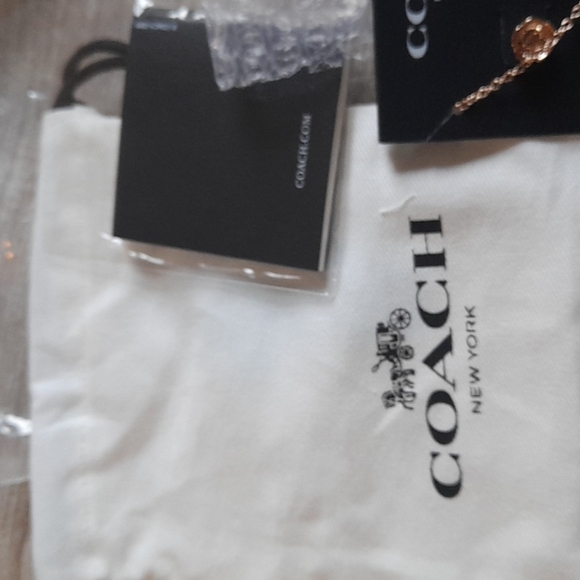 Host pick! 💞🎉 New! Coach earrings and necklace set - Picture 4 of 6